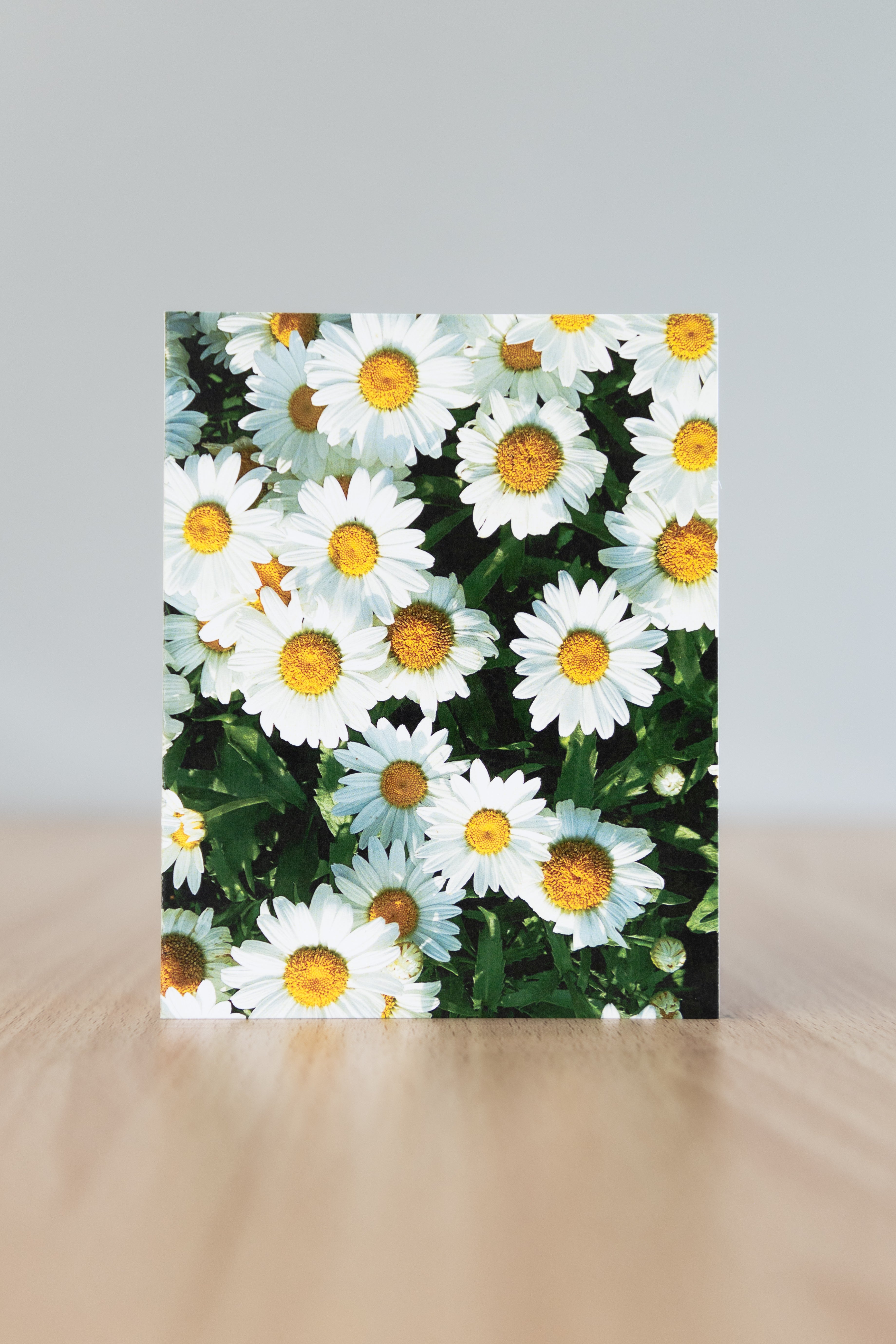 A little sunshine...