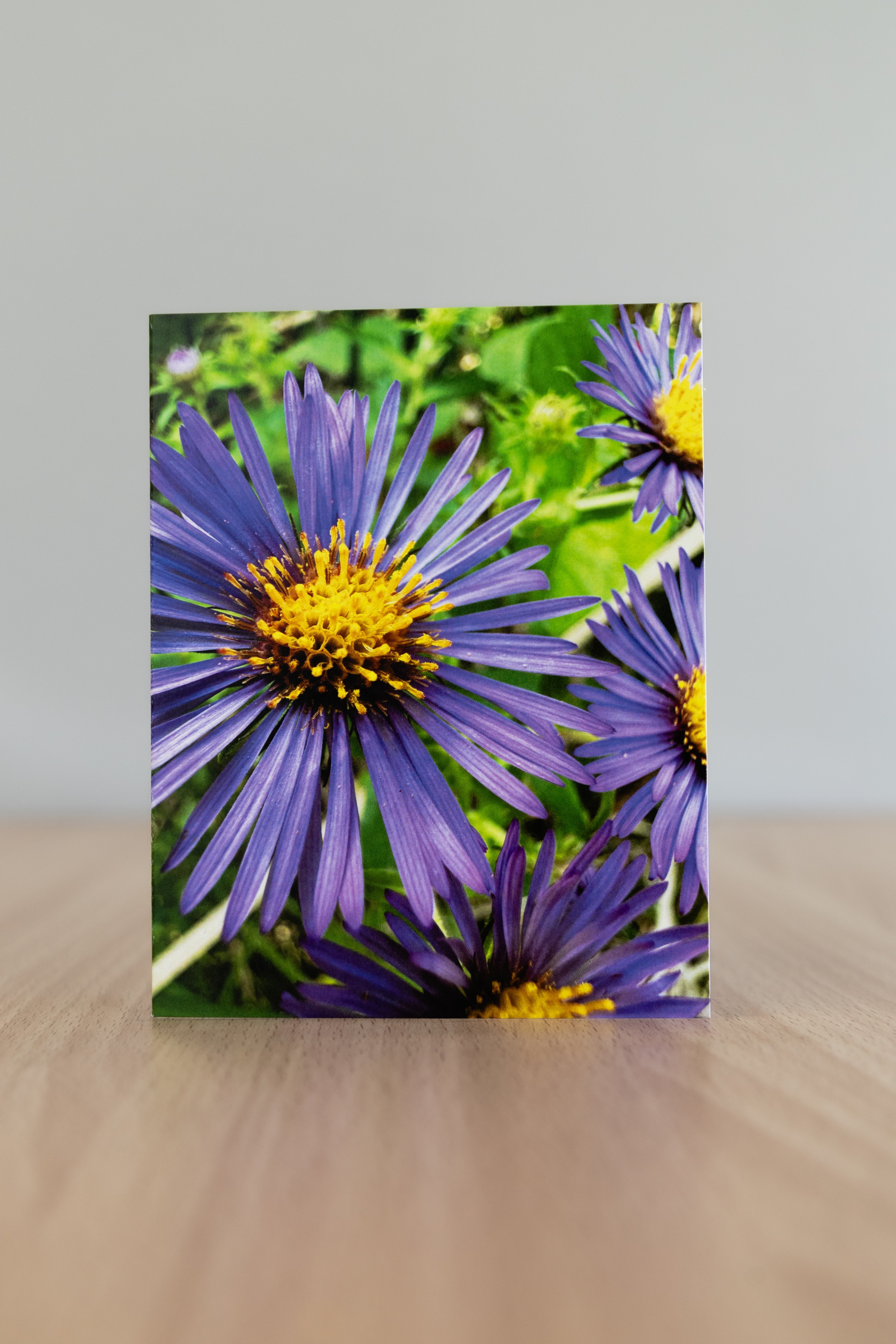 Bloom brave